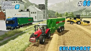 Pallet Storage Building, Wheat Harvest, Straw Baling | Erlengrat | Farming simulator 22 | ep #66