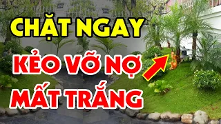 5 Loại Cây Dù Thích Đến Mấy Cũng Cấm Trồng Trong Nhà Kẻo Tán Gia Bại Sản, Tiền Bạc Đội Nón Ra Đi