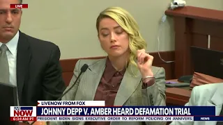 Johnny Depp expert challenged on testimony that Amber Heard surgeon was wrong | LiveNOW from FOX