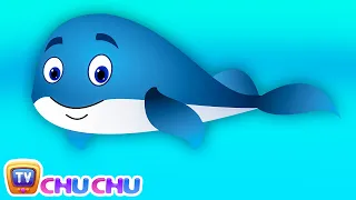 Blue Whale Nursery Rhyme | ChuChuTV Sea World | Animal Songs & Nursery Rhymes For Children