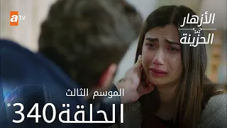 مسلسل الأزهار الحزينة | الحلقة 340 - الموسم الثالث