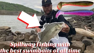 Spillway Fishing With the BEST Swimbaits of All Time!