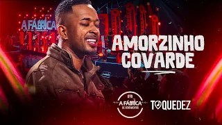 Toque Dez - Amorzinho covarde  (DVD A FÁBRICA DE SENTIMENTOS)