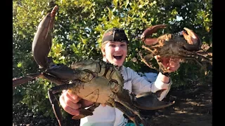 Catch n Cook barehanded MUDCRABS! HD