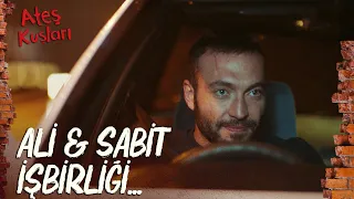 Ali, Zümrüt'ün işini bitirdi! - Ateş Kuşları 3. Bölüm