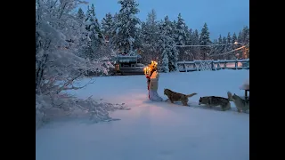 Santa Lucia, Swedish Lapland, 13th of December