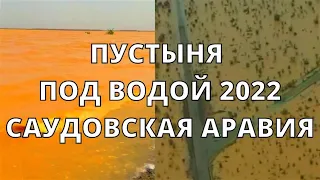 Шторм в Саудовской Аравии сегодня дождь и град превратили пустыню в озеро