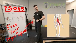 Is A Tight Psoas Muscle Causing Your Low Back or Hip Pain? Stretches & Exercises For Hip Flexors.