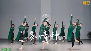 清影舞室 古典舞《多情種》精彩片段 曲：胡楊林