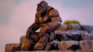 S.H MonsterArts Godzilla VS Kong: King Kong ! (Not great but I STILL like it!) Best REVIEW EVER!