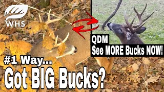 #1 Deer Hunting Strategy?