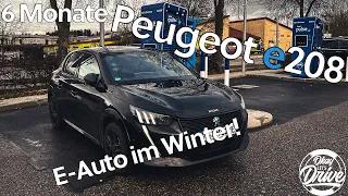 6 Monate Peugeot e208 - Winter ist hart! Erfahrungsbericht