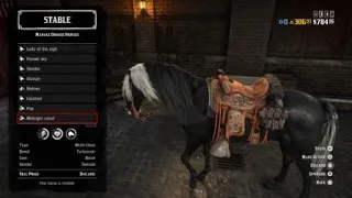 Red Dead online my top ten horses