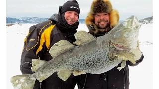 Pêche à la morue Ogac et soirée d'information au poisson de fond