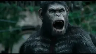 Caesar Speech | Dawn of the Planet of the Apes.