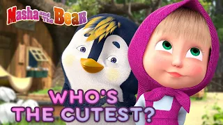 Masha and the Bear 😊 WHO'S THE CUTEST? 🐼 Best episodes collection 🎬 Cartoons for kids