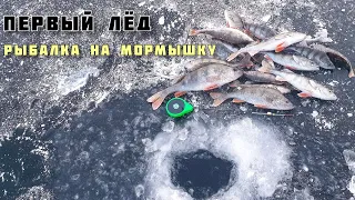 Ловля Окуня на Мормышку с Мотылём, Первый Лёд в Тольятти Рыбалка - Нижние Шлюза