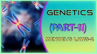 GENETICS (PART-11)//12th CLASS// +2 SCIENCE// NCERT// CBSE// CHSE// NEET // OUAT// AIIMS