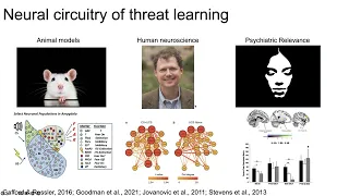 PTSD: The Brain Basis of Susceptibility