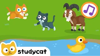 Can Cats Run? 😺| Nursery Rhymes & Kids Songs 🎶| Learn English | Studycat