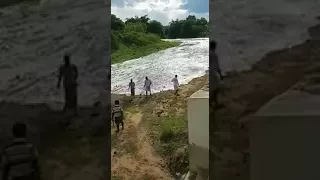 Farmers welcoming Kaveri water invading thier land