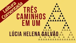 14 - TRÊS CAMINHOS EM UM - SÉRIE SRI RAM, leitura comentada - Lúcia Helena Galvão