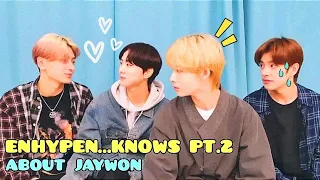 ENHYPEN KNOWS PT.2 about JAYWON or ENHYPEN exposing, protecting and judging jaywon