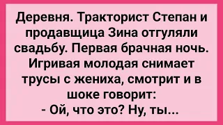 Первая Брачная Ночь Тракториста и Продавщицы! Сборник Свежих Смешных Жизненных Анекдотов!