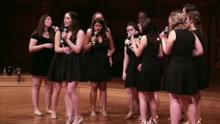 Stay (opb. Rihanna) - The Harvard Fallen Angels A Cappella Cover