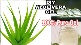 DIY Homemade Aloe Vera Gel | How To Make Aloe Vera Gel At Home 100% Pure Aloe Vera Gel/ # style High