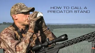 The Basics of a Coyote Stand