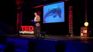 Rights for whales & dolphins, necessity or exaggeration? Chris Butler-Stroud at TEDxLoughborough