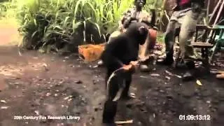 Soldiers Give Apes a Loaded AK47