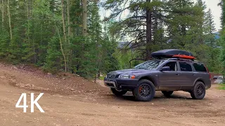 Mammoth Gulch. Rollinsville, CO. Solo. #147