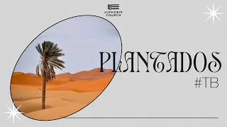 Plantados | Gerson Pinzón | Euphoria Church