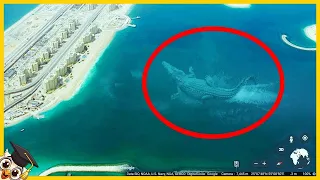 10 Gigantycznych Stworzeń uchwyconych przez Google Earth