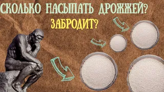 Засев пивных дрожжей!Сколько нужно?Недозасев!Перезасав!Эксперимент с дрожжами!!Дегустация!