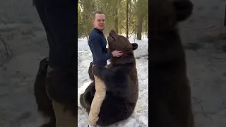 REAL BEAR attacked crazy man / ONLY IN RUSSIA