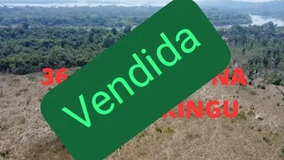 (Vendida)Terra de 36 alqueires pra vender. Na beira do Xingu. na região da pombal. R$45 mil por alq