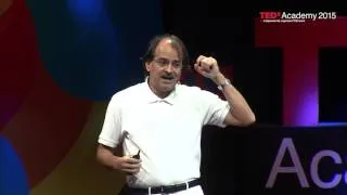 Mediocracy vs Meritocracy | John Ioannidis | TEDxAcademy