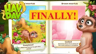 Hay Day New Red Meerkat - Gameplay