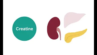 Measuring serum creatinine