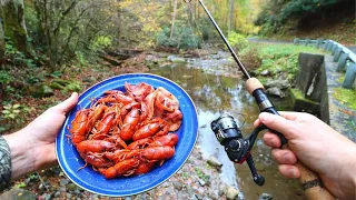 Fishing for Crawfish and Boiling 'Em in Butter!!!