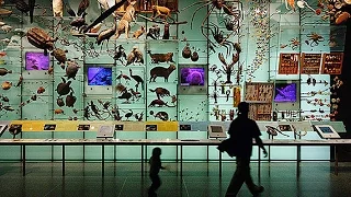 WGBH IdeaLab: Biodiversity - News From Nature