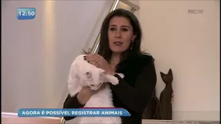 Animais domésticos recebem certidão de registro