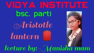 Aristotle lantern (masticating organ of echinus)in echinus by Manisha mam