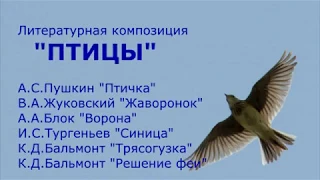 Птицы. Литературная композиция