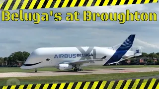 Airbus Beluga XL-2 and Beluga No:5 at Hawarden Uk.