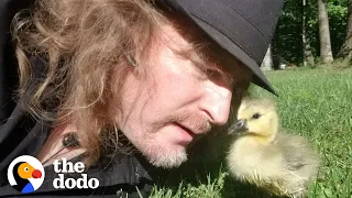 Guy Teaches His Rescued Gosling How To Fly | The Dodo Soulmates