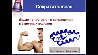 Мой опыт сыроедения